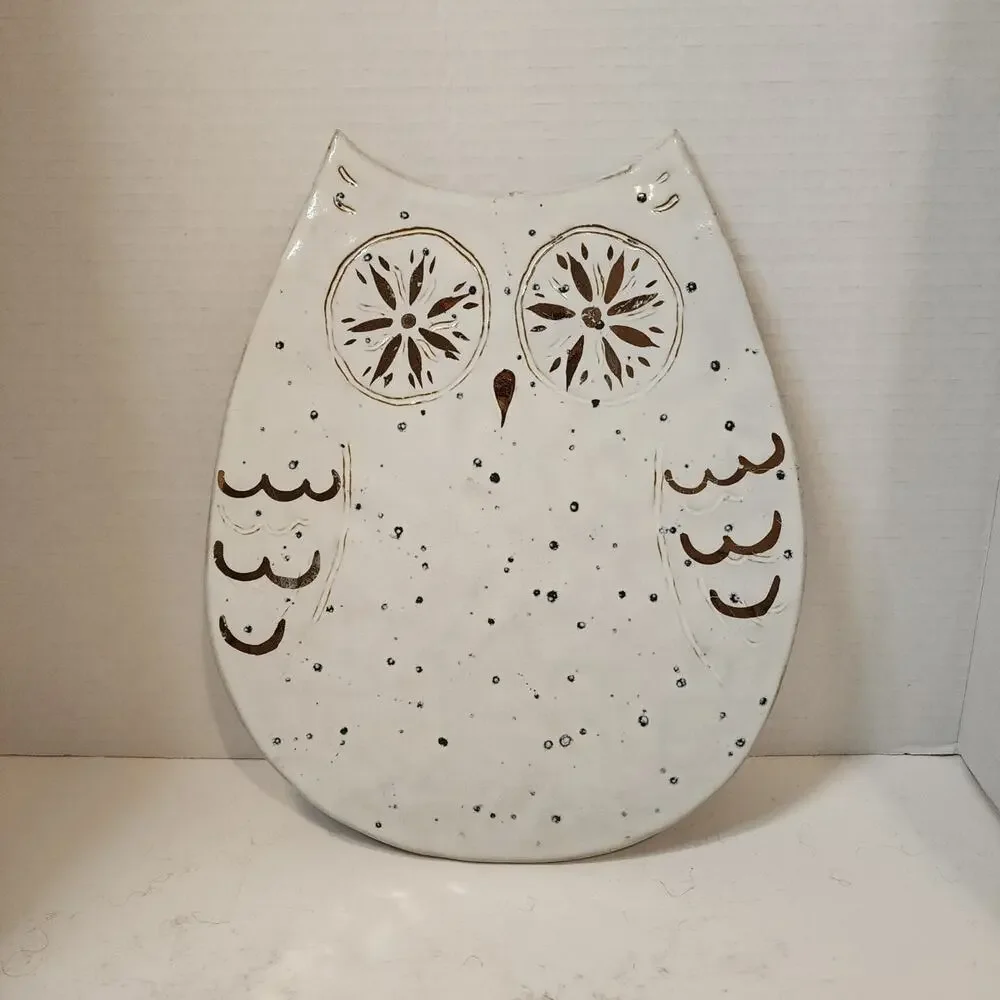 White Wide Eyed Owl 12